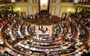 EL DEBATE EN EL CONGRESO DE LOS DIPUTADOS