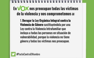 Las leyes españolas de género podrían ser anticonstitucionales