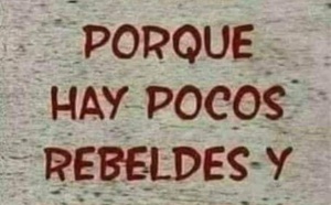 ¿Por qué todo demócrata está obligado a criticar al gobierno sin tregua?