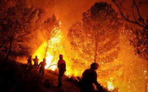 Fuego contra fuego: los políticos también destruyen los bosques de España