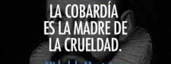 Nos educan con éxito para ser cobardes y pobres