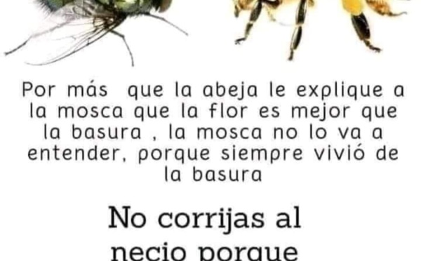 La democracia en España ha sido asesinada por políticos con demasiado poder