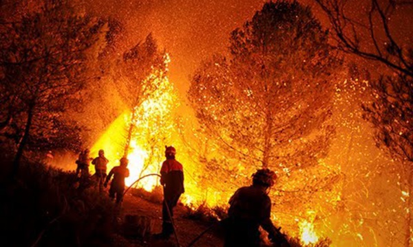 Fuego contra fuego: los políticos también destruyen los bosques de España